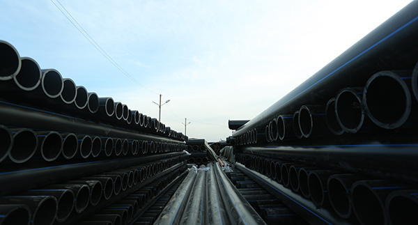 PE樱花草在线播放